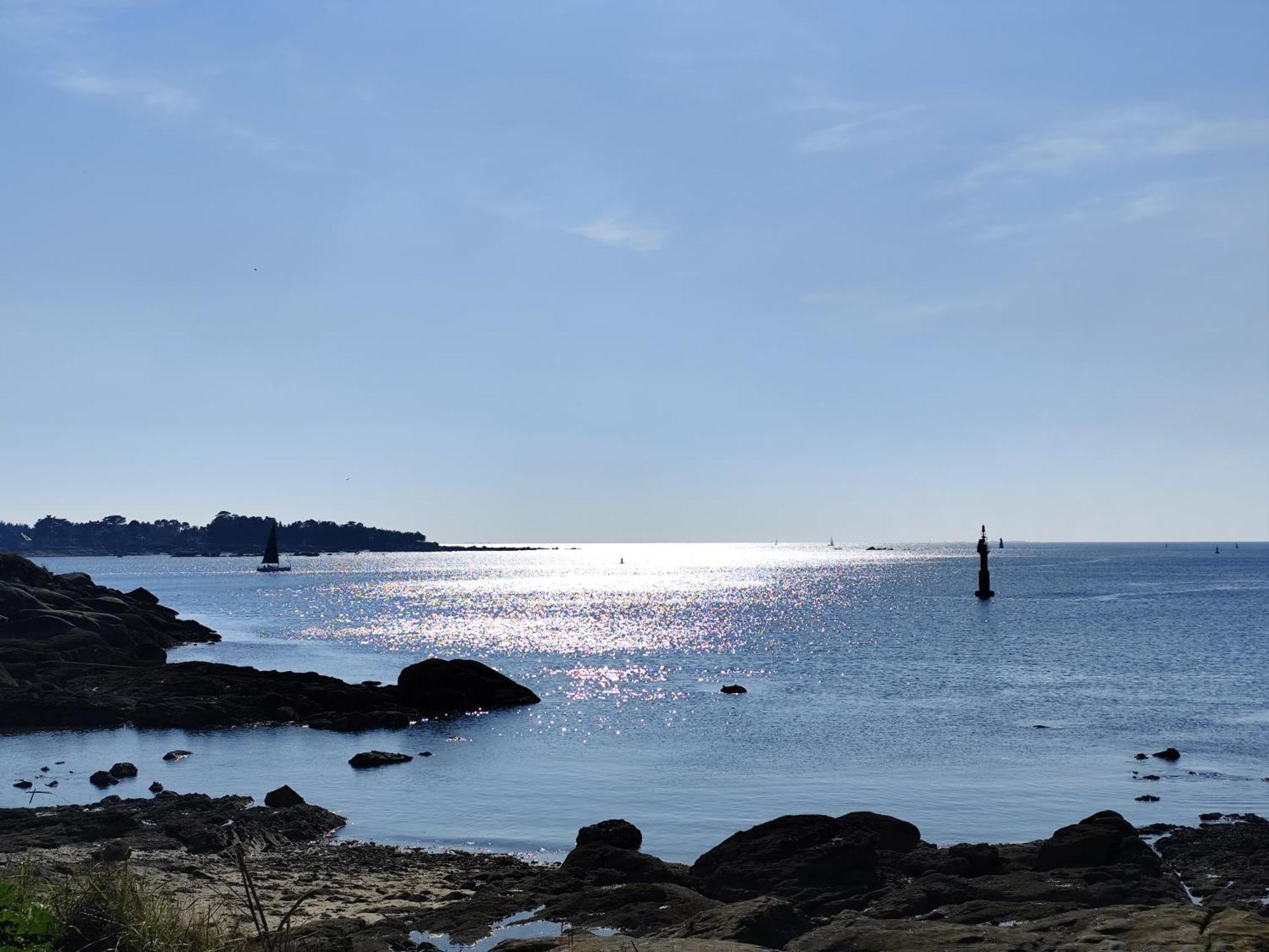 Les Reflets De Rivage Avec Garage Privatif - 350M Plage Concarneau Kültér fotó